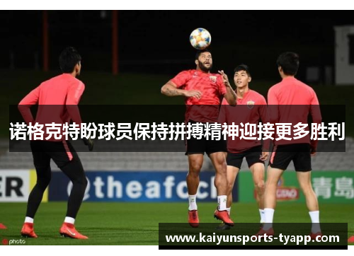 诺格克特盼球员保持拼搏精神迎接更多胜利