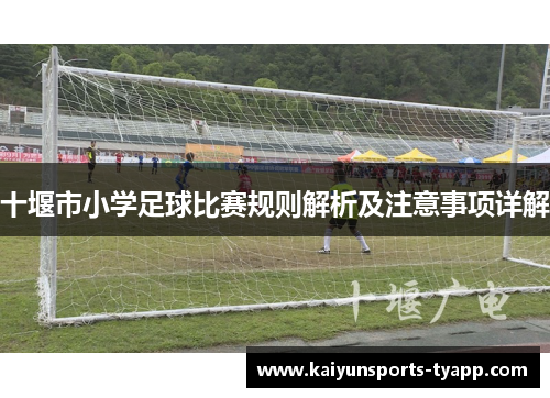 十堰市小学足球比赛规则解析及注意事项详解